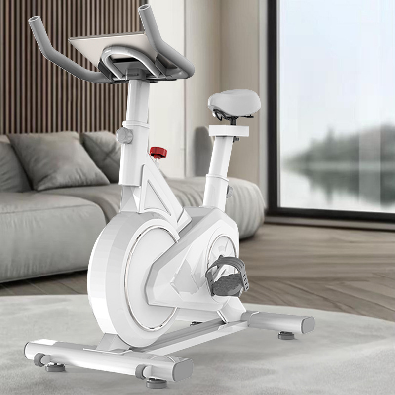 Intelligent Spinning Bike Home - Exercise Bike Magnetic Resistance ulasan dan harga